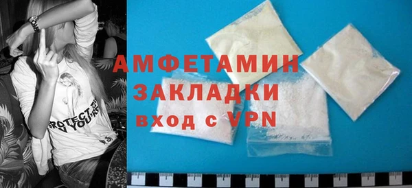 ГАЛЛЮЦИНОГЕННЫЕ ГРИБЫ Богданович