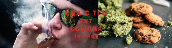 PSILOCYBIN Белокуриха