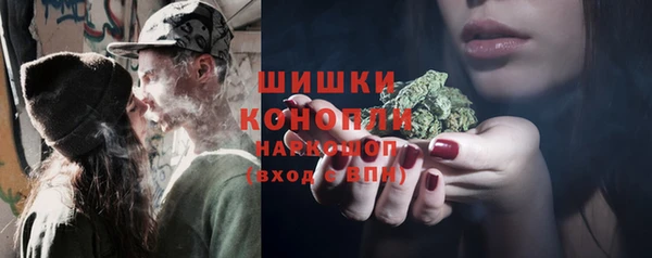 ПСИЛОЦИБИНОВЫЕ ГРИБЫ Белоозёрский
