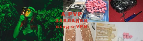 ГАЛЛЮЦИНОГЕННЫЕ ГРИБЫ Богданович