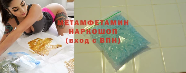 ГАЛЛЮЦИНОГЕННЫЕ ГРИБЫ Богданович