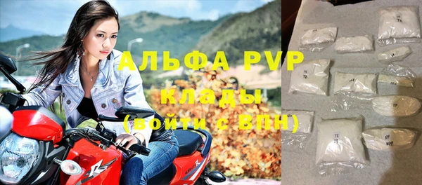 PSILOCYBIN Белокуриха