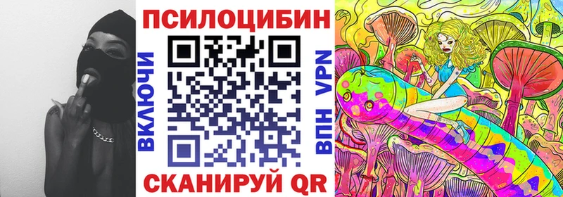 где можно купить   OMG ссылка  Псилоцибиновые грибы GOLDEN TEACHER  Белоусово 